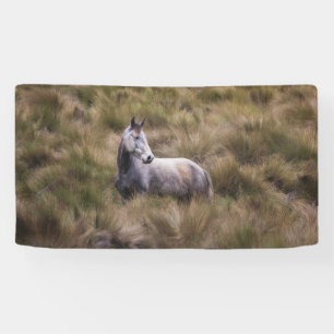 Beautiful Grey Coloured Horse Banner