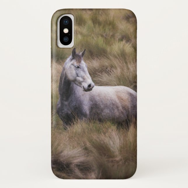 Beautiful Grey Coloured Horse Case-Mate iPhone Case (Back)