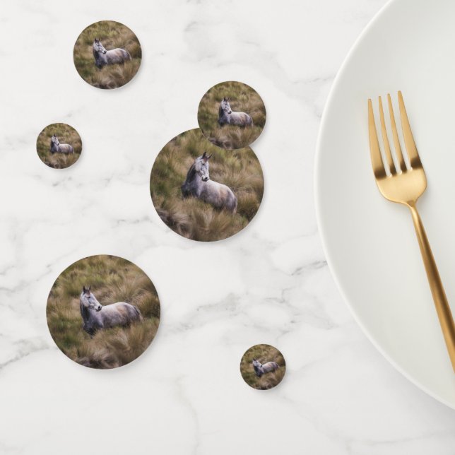 Beautiful Grey Coloured Horse Confetti (Group)