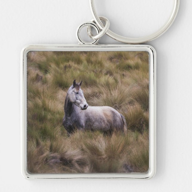 Beautiful Grey Coloured Horse Keychain (Front)
