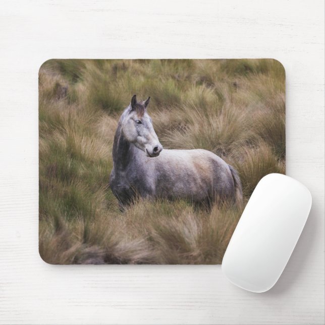 Beautiful Grey Coloured Horse Mouse Pad (With Mouse)
