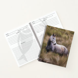 Beautiful Grey Coloured Horse Notebook