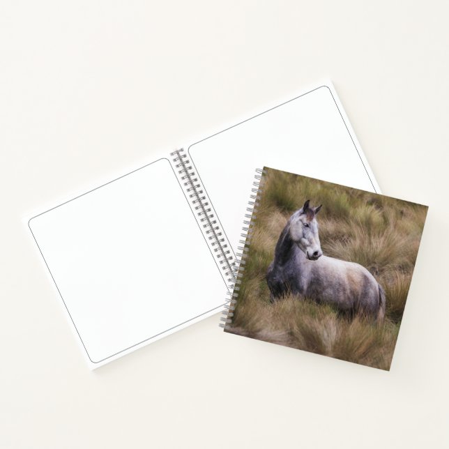 Beautiful Grey Coloured Horse Notebook (Inside)