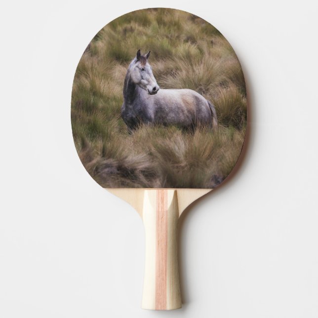 Beautiful Grey Coloured Horse Ping Pong Paddle (Front)