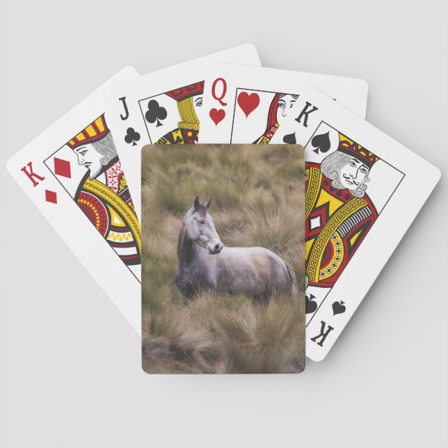 Beautiful Grey Coloured Horse Playing Cards (Back)