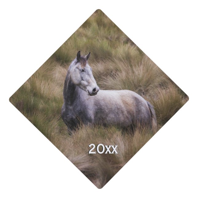 Beautiful Grey Coloured Horse Year Graduation Cap Topper (Front)