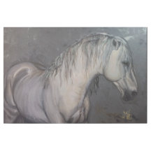 Beautiful Grey Horse with Dark Background