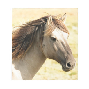 Beautiful grey wild horse notepad