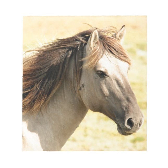 Beautiful grey wild horse notepad (Front)