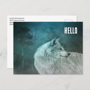 Beautiful Grey Wolf in a Dark Forest Postcard