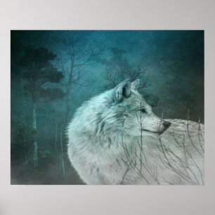 Beautiful Grey Wolf in a Dark Forest Poster