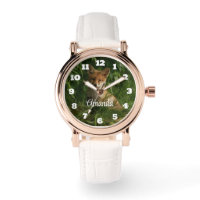 Beautiful Grey Wolf in a Dark Forest