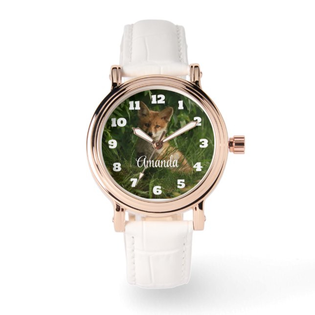 Beautiful Grey Wolf in a Dark Forest Watch (Front)