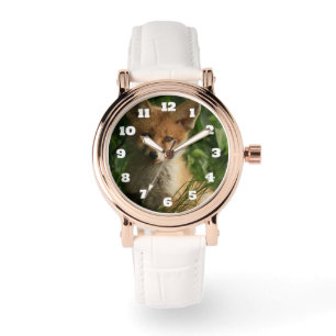 Beautiful Grey Wolf in a Dark Forest Watch