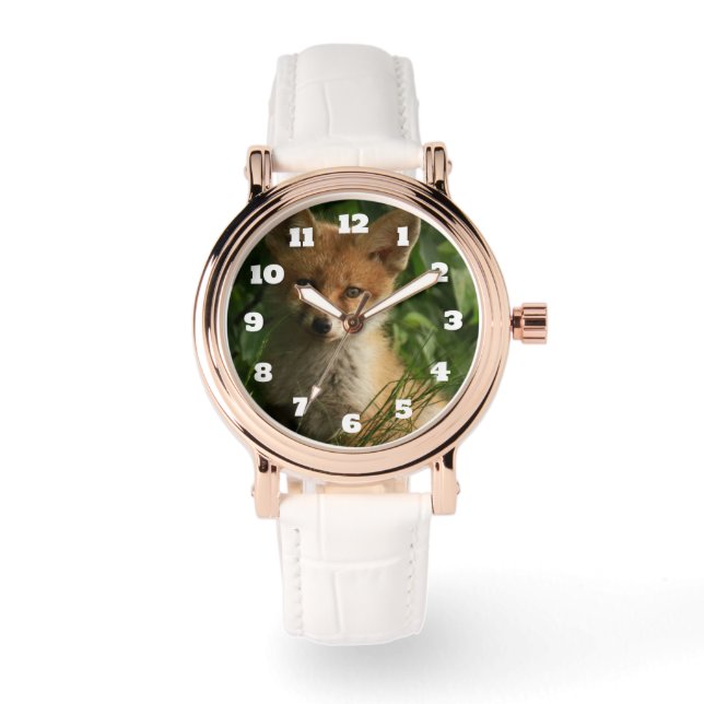 Beautiful Grey Wolf in a Dark Forest Watch (Front)