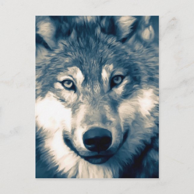 Beautiful Grey Wolf Woodland Animal Postcard (Front)