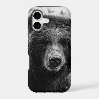 Beautiful Grizzly Bear Photo