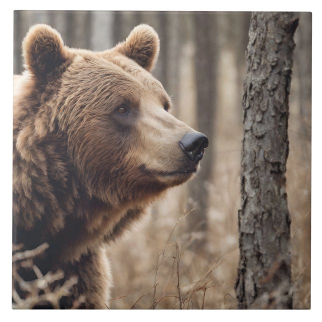 Beautiful Grizzly Bear Portrait Brown Bear 3a Tile (Front)