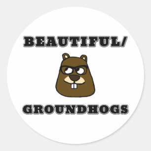 Beautiful/Groundhogs Classic Round Sticker
