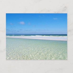 Beautiful Gulf of Mexico Postcard