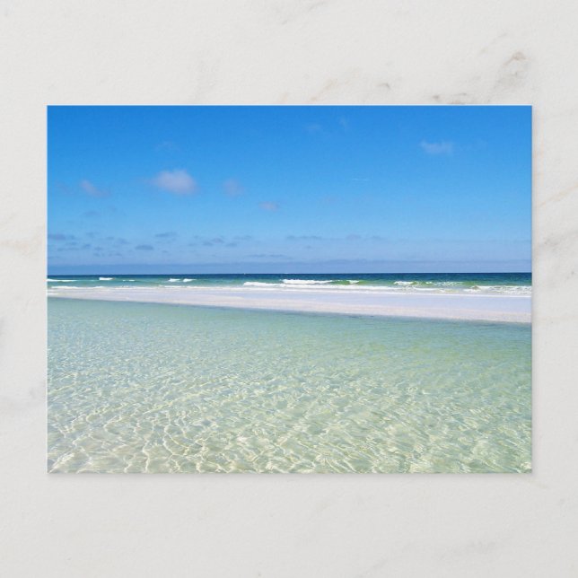 Beautiful Gulf of Mexico Postcard (Front)