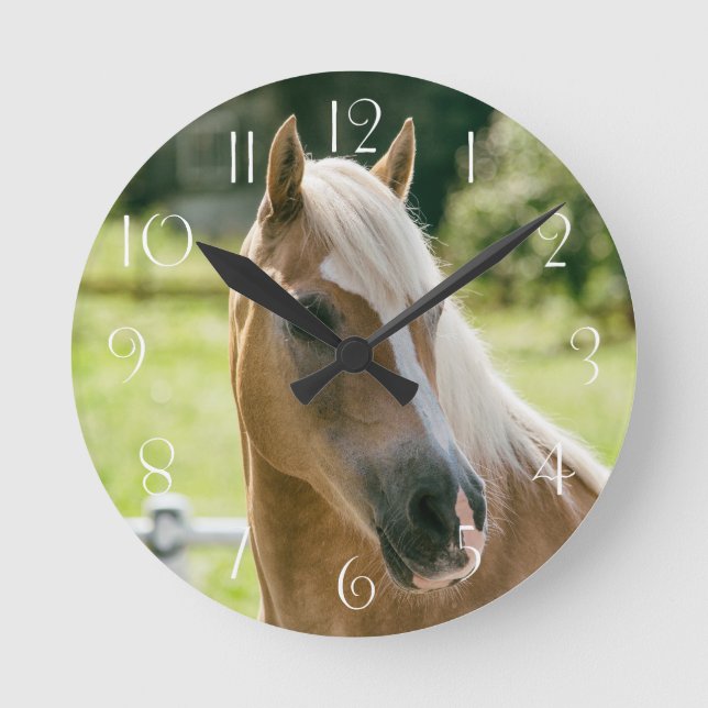 Beautiful haflinger horse portrait round clock (Front)