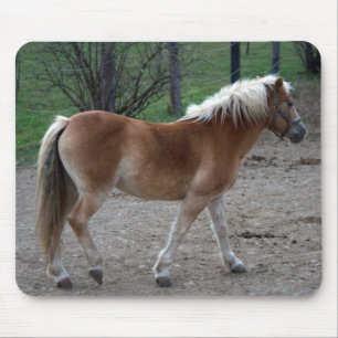 Beautiful Haflinger Mouse Pad
