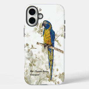 Beautiful Hand-painted Endangered Bird(Macaw) iPhone 16 Plus Case