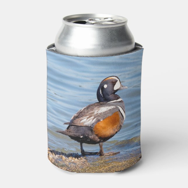 Beautiful Harlequin Duck on the Rock Can Cooler (Can Front)