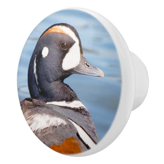 Beautiful Harlequin Duck on the Rock Ceramic Knob (Right)