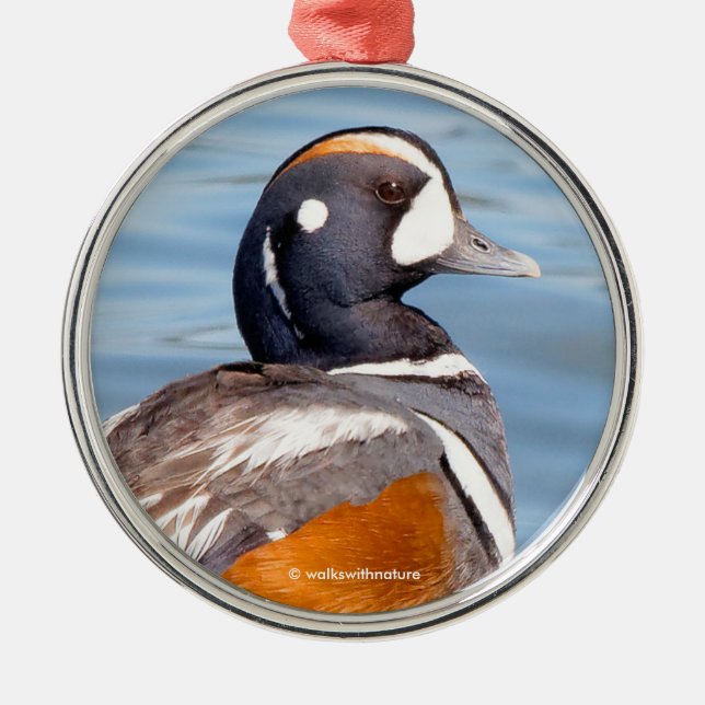 Beautiful Harlequin Duck on the Rock Metal Ornament (Front)