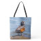 Beautiful Harlequin Duck on the Rock