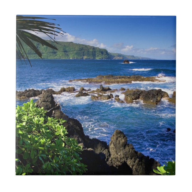 Beautiful Hawaii Tile (Front)