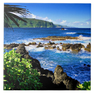 Beautiful Hawaii Tile