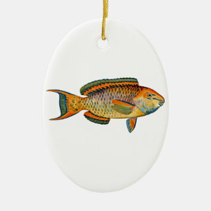 Beautiful Hawaiian Fish - Regal Parrotfish Ceramic Ornament