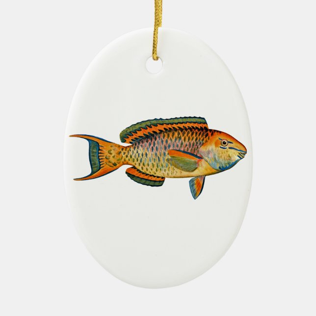 Beautiful Hawaiian Fish - Regal Parrotfish Ceramic Ornament (Front)
