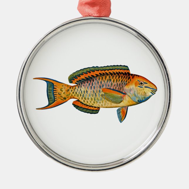Beautiful Hawaiian Fish - Regal Parrotfish Metal Ornament (Front)