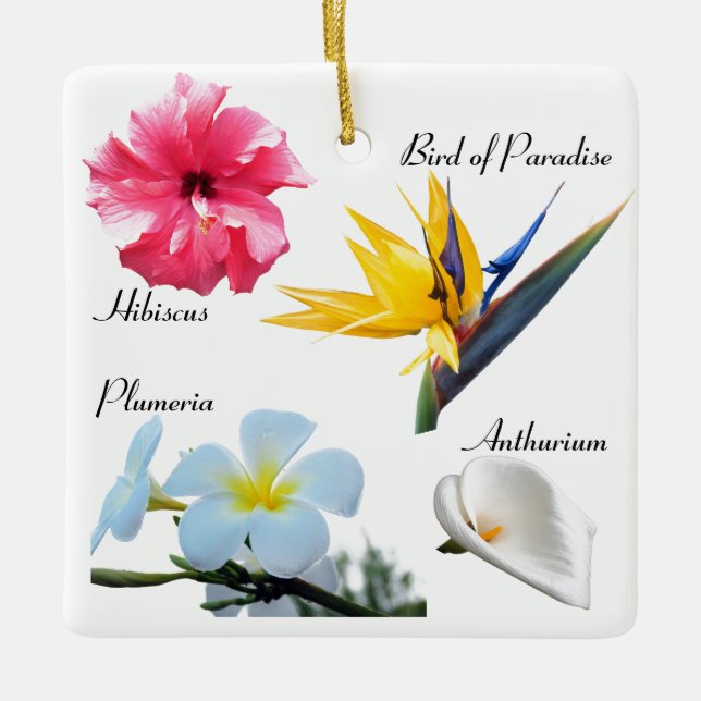 Beautiful Hawaiian Flowers Ceramic Ornament (Front)
