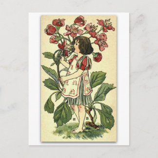 Beautiful Hawthorn by NELLIE BENSON Postcard