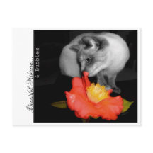 Beautiful Hibiscus...& Bubbles