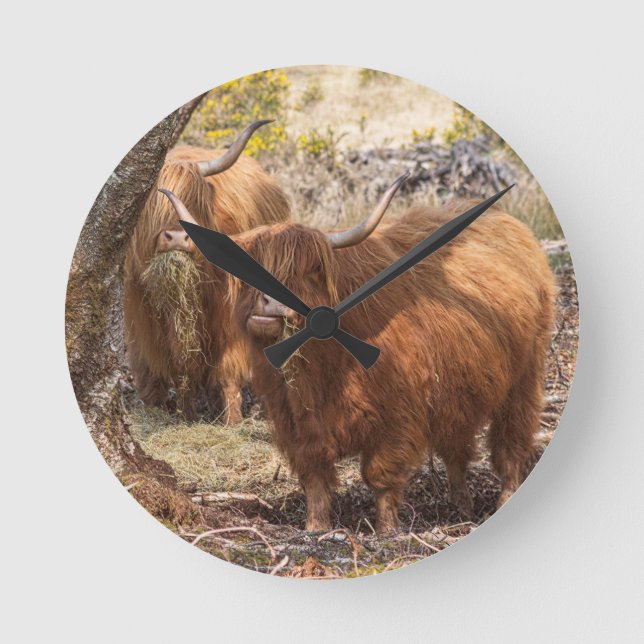 Beautiful Highland farm cows Round Clock (Front)