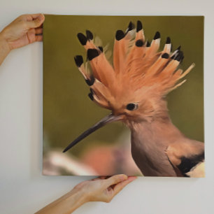 Beautiful Hoopoe Bird With Crown Of Feathers Canvas Print