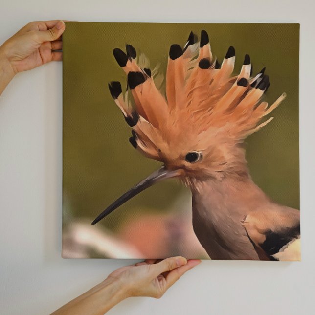 Beautiful Hoopoe Bird With Crown Of Feathers Canvas Print (Creator Uploaded)