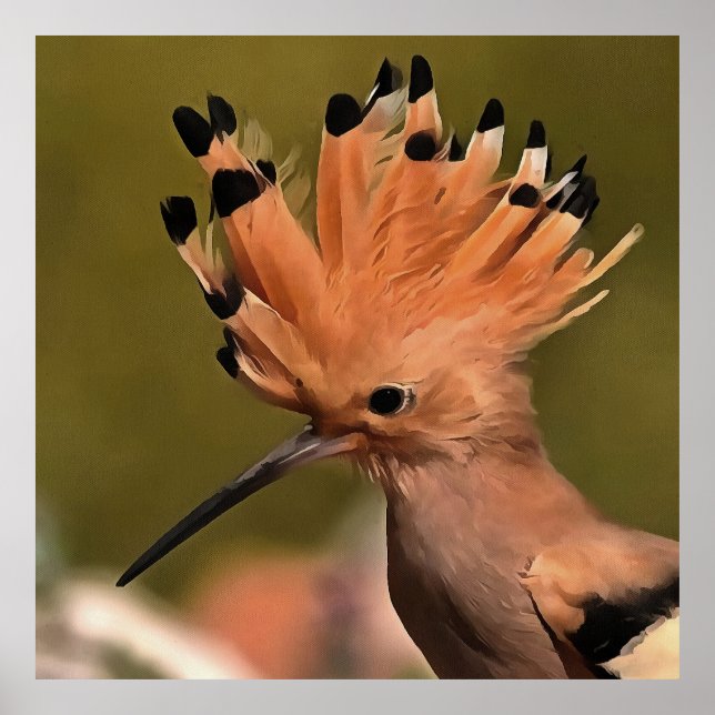 Beautiful Hoopoe Bird With Crown Of Feathers Poster (Front)