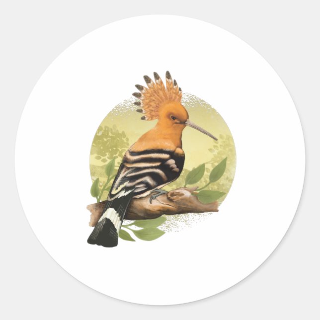 Beautiful Hoopoe For Ornithologists Classic Round Sticker (Front)