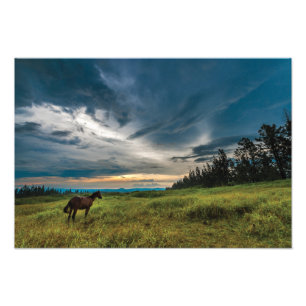 Beautiful horse and landscape print