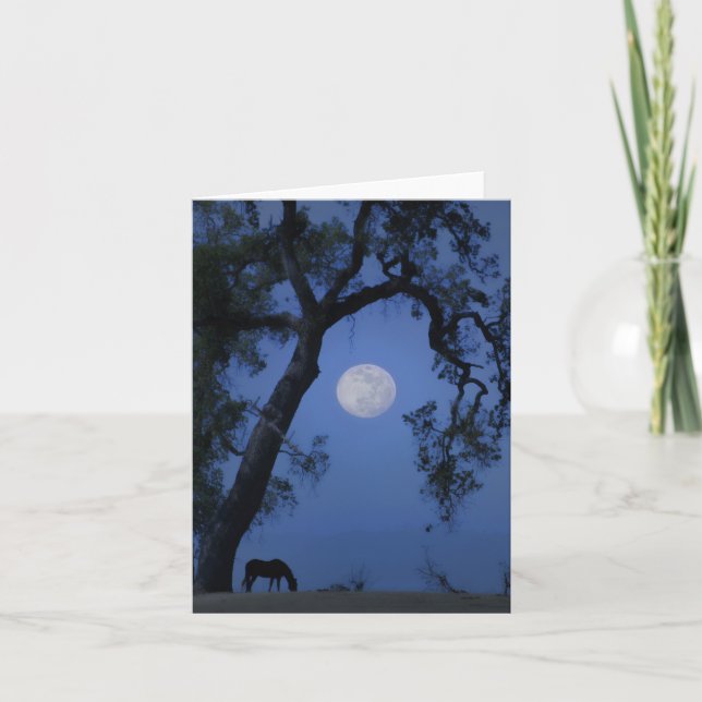 Beautiful Horse and Moon Blank Note Card (Front)