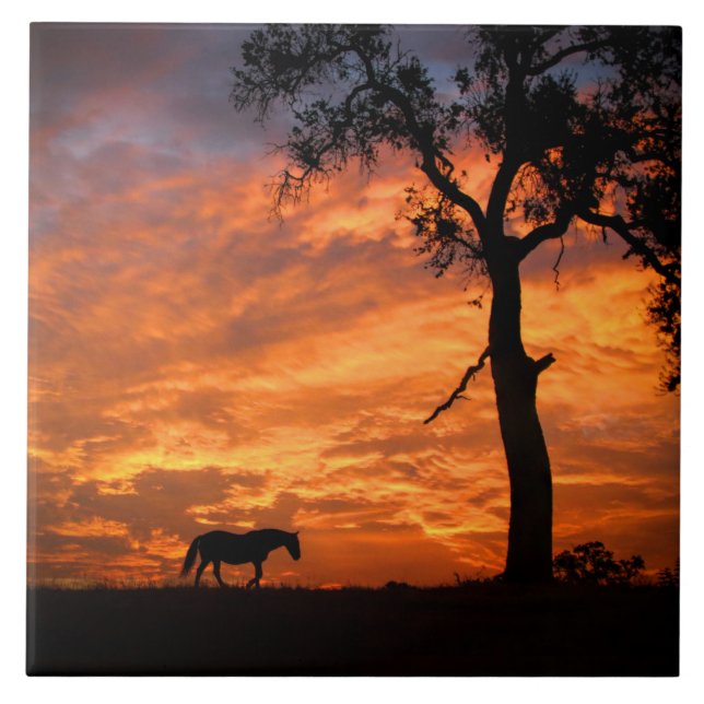 Beautiful Horse and Southwestern Sunset Art Tile (Front)