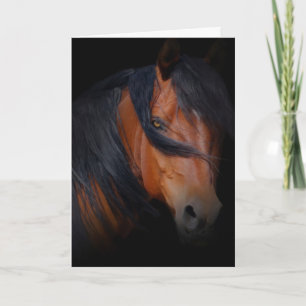 Beautiful Horse Birthday Card