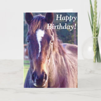 Beautiful Horse Birthday Card